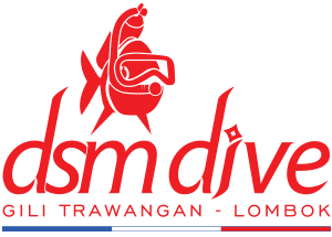 DSM Dive