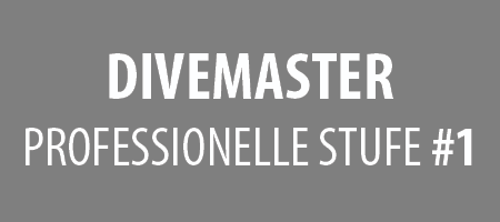 Divemaster : professionelle stufe 1