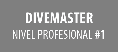 Divemaster : nevel profesional 1