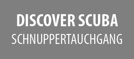 Discover Scuba Diver : schnuppertauchgang
