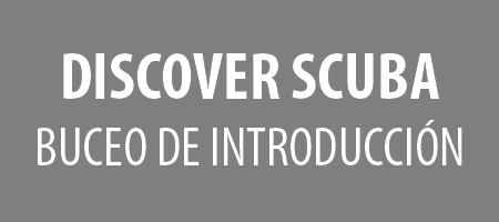 Discover Scuba Diving : Buceo de Introduction