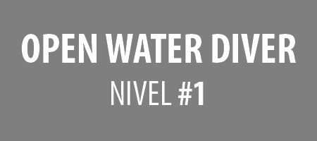 Open Water Diver : Nivel 1