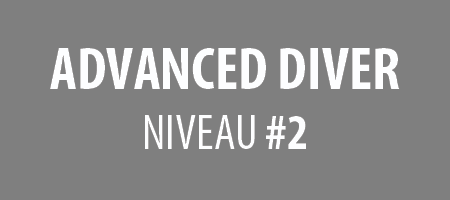 ADVANCED OPEN WATER DIVER : niveau #2