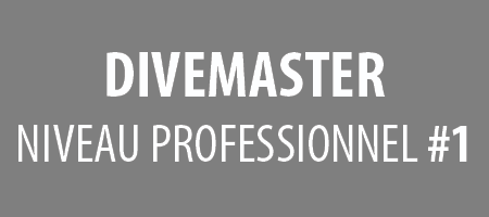 DIVEMASTER : niveau professionnel #1