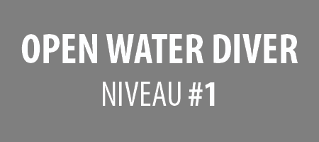 OPEN WATER DIVER : niveau #1