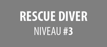 RESCUE DIVER : niveau #3