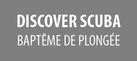 DISCOVER SCUBA DIVING : baptême de plongée