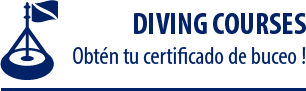 Diving Courses