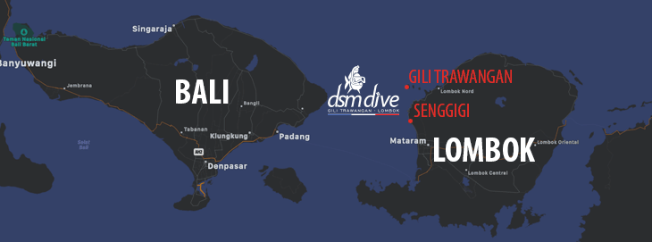 DSM Dive on Gili Trawangan and on Lombok, Indonesien - PADI